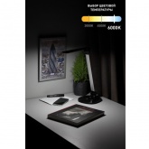 Светильник светодиодный настольный ЭРА NLED-456-10W-BK-S сенсорный черный с серебром (5055945557909