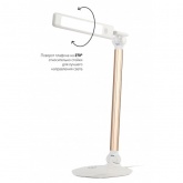 Светильник светодиодный настольный ЭРА NLED-456-10W-W-G сенсорный белый с золотом (5055945557893)