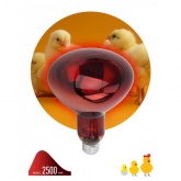 Лампа инфракрасная ЭРА ИКЗК R127 150W 220V E27 для обогрева животных