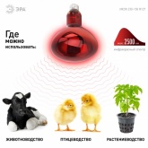 Лампа инфракрасная ЭРА ИКЗК R127 150W 220V E27 для обогрева животных