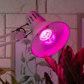 Лампа светодиодная для растений рассады ЭРА FITO-12W-RB-E27 12W 220V E27 RB d60х120mm 264866