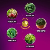 Лампа светодиодная для растений рассады ЭРА FITO-18W-RB-E27 18W 220V E27 RB d100х105mm 238195