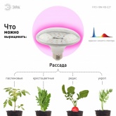 Лампа светодиодная для растений рассады ЭРА FITO-18W-RB-E27 18W 220V E27 RB d100х105mm 238195