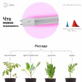 Лампа светодиодная для растений Т8 ЭРА FITO-18W-RB-Т8-G13-NL с фиолетовым свечением 028861