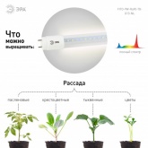Лампа светодиодная для растений Т8 ЭРА FITO-9W-Ra90-Т8-G13-NL 1200K полный спектр фитолампа 029981