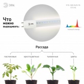 Лампа светодиодная для растений Т8 ЭРА FITO-18W-Ra90-Т8-G13-NL 1200K полный спектр фитолампа 029967
