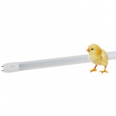 Лампа светодиодная для растений Т8 ЭРА FITO-18W-Ra90-Т8-G13-NL 1200K полный спектр фитолампа 029967