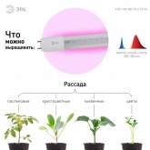 Лампа светодиодная для растений Т8 ЭРА FITO-9W-RB-Т8-G13-NL с фиолетовым свечением 029943