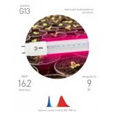 Лампа светодиодная для растений Т8 ЭРА FITO-9W-RB-Т8-G13-NL с фиолетовым свечением 029943