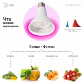 Лампа светодиодная для растений рассады ЭРА FITO-16W-RB-E27-K 16W 1310K 220V E27 RB d95х135mm 786151