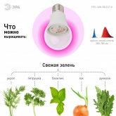 Лампа светодиодная для растений рассады ЭРА FITO-14W-RB-E27-K 14W 1310K 220V E27 RB d60х110mm 786137