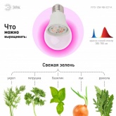 Лампа светодиодная для растений рассады ЭРА FITO-12W-RB-E27-K 12W 1310K 220V E27 RB d60х110mm 786113