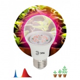 Лампа светодиодная для растений рассады ЭРА FITO-12W-RB-E27-K 12W 1310K 220V E27 RB d60х110mm 786113