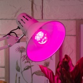 Лампа светодиодная для растений рассады ЭРА FITO-12W-RB-E27-K 12W 1310K 220V E27 RB d60х110mm 786113