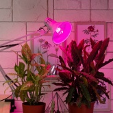 Лампа светодиодная для растений рассады ЭРА FITO-10W-RB-E27-K 10W 1310K 220V E27 RB d60х110mm 786090