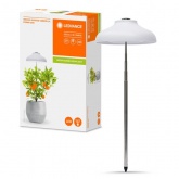Светильник светодиодный для горшечных растений Indoor Garden Umbrella 200 USB WT 5W 3400K 235Lm IP20