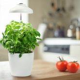 Светильник светодиодный для горшечных растений Indoor Garden Umbrella 200 USB WT 5W 3400K 235Lm IP20