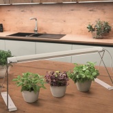 Светильник для растений Indoor Garden Light Stand 300 WT 14W 3650К 750Lm IP20