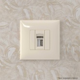 USB 2.0 розетка одинарная в стену DKC Avanti тип А-А, ванильная дымка