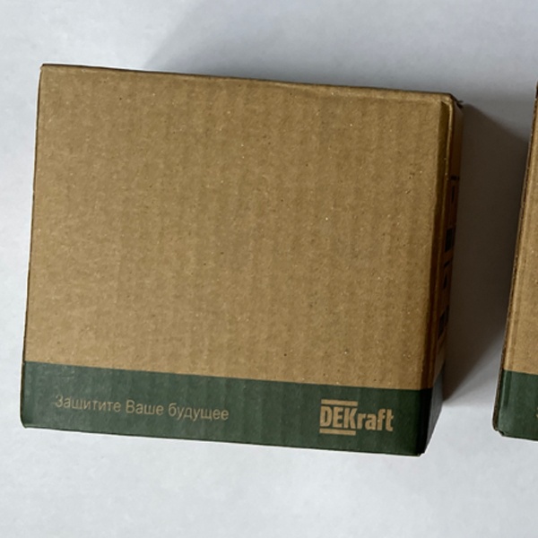 Двухполюсное устройство защитного отключения 25А Шнайдер Электрик класса АС модульного типа