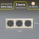Рамка на 3 поста Intro Solo, слоновая кость 4-503-02 (бежевый)