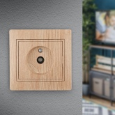 Розетка TV Intro одиночная IP20 Plano, сосна 1-301-11