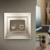 Розетка информационная Intro RJ45 IP20 Plano, шампань 1-303-04