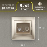 Розетка информационная Intro RJ45 IP20 Plano, шампань 1-303-04
