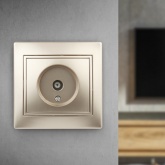 Розетка TV Intro одиночная IP20 Plano, шампань 1-301-04