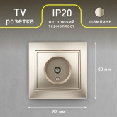 Розетка TV Intro одиночная IP20 Plano, шампань 1-301-04