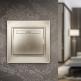 Переключатель 10А 250В IP20 Intro Plano, шампань 1-103-04