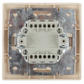 Выключатель двухклавишный с подсветкой Intro 10А 250В IP20 Plano, шампань 1-105-04