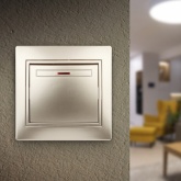 Выключатель с подсветкой Intro 10А 250В IP20 Plano, шампань 1-102-04