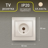Розетка TV Intro одиночная IP20 Plano, слоновая кость 1-301-02 (бежевый)