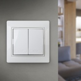 Выключатель двухклавишный Intro 10А 250В IP20 Plano, белый 1-104-01