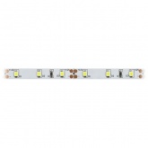 Светодиодная лента ЭРА 2835kit-4,8-60-12-IP20-6500-5m 4,8W/m 6500K 12V с драйвером и коннекторами