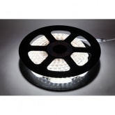 Лента светодиодная ЭРА LS2835-4,8-60-220-6500K-IP67-20m 4,8W холодный (бухта 20m)