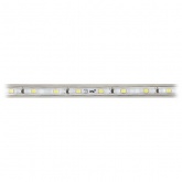 Лента светодиодная ЭРА LS2835-4,8-60-220-6500K-IP67-20m 4,8W холодный (бухта 20m)