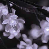 Светодиодное дерево Сакура, 1728LED 78W 24V L3.6m крона 3m белый IP65 трансформатор в комплекте