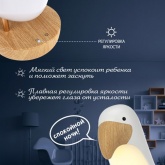 Интерьерный светильник Тукан Neon-Night USB с 3 режимами, теплый белый, Bluetooth, динамик,