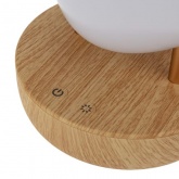 Интерьерный светильник Тукан Neon-Night USB с 3 режимами, теплый белый, Bluetooth, динамик,