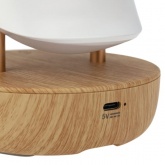 Интерьерный светильник Тукан Neon-Night USB с 3 режимами, теплый белый, Bluetooth, динамик,