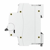 Автоматический выключатель EKF PROxima ВА 47-100 1P 125А (C) 10kA (автомат электрический)