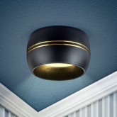 Светильник накладной потолочный ЭРА OL13 под лампу GX53 BK/GD алюминий, цвет черный/золото (234173)