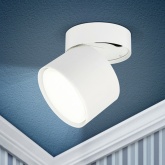 Светильник накладной ЭРА OL12 под лампу GX53 SWH, алюминий, цвет белый (5056396234159)