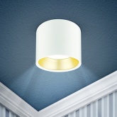 Светильник накладной потолочный ЭРА OL8 под лампу GX53 WH/GD алюминий, белый+золото