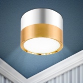 Светильник накладной потолочный ЭРА OL7 под лампу GX53 GD/CH алюминий, золото+хром