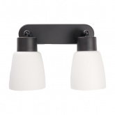 Светильник настенно-потолочный Feron ML242 под лампу 2хE27, черный корпус сталь, рассеиватель стекло