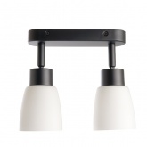 Светильник настенно-потолочный Feron ML242 под лампу 2хE27, черный корпус сталь, рассеиватель стекло