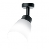 Светильник настенно-потолочный Feron ML241 под лампу 1хE27, черный корпус сталь, рассеиватель стекло